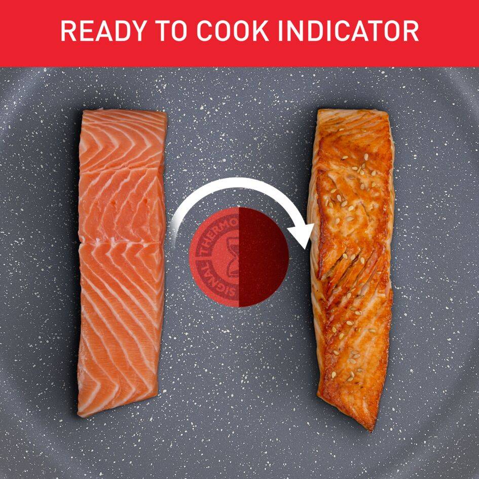 Pánev Tefal Healthy Chef G1500472 24 cm