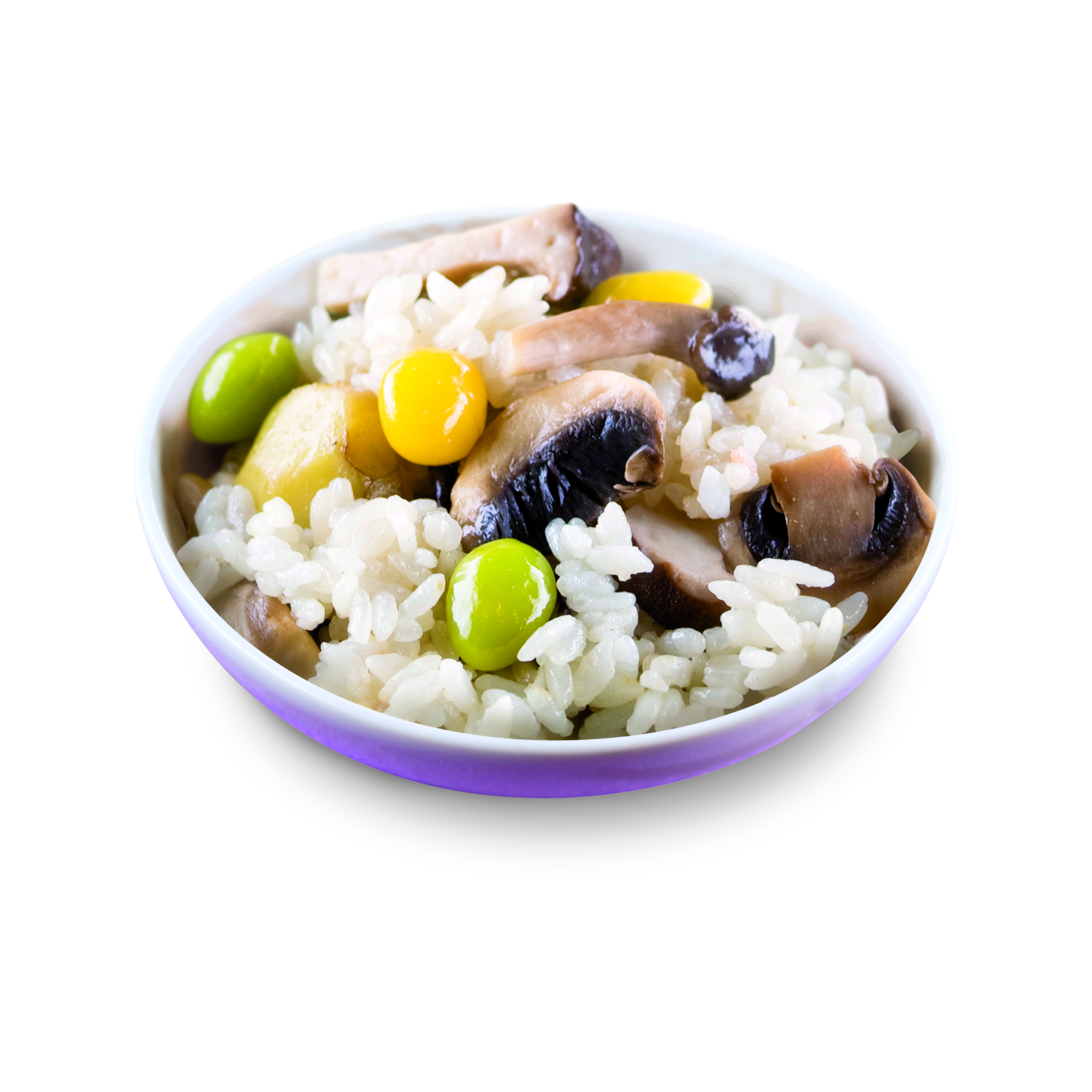 Elektrický gril Tefal OptiGrill+ XL GC722D34 Stříbrný/Černý