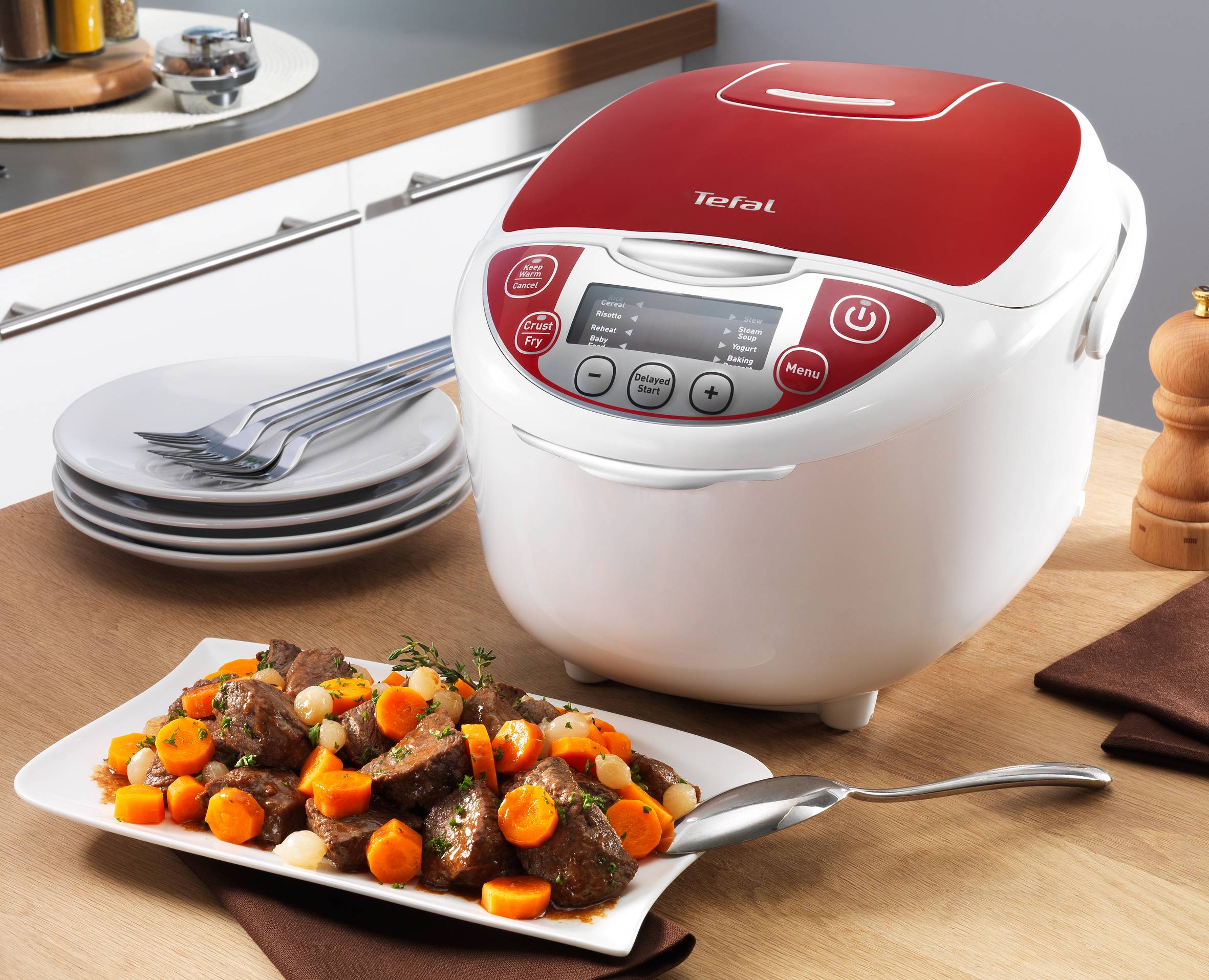 Multicooker Fuzzy Led