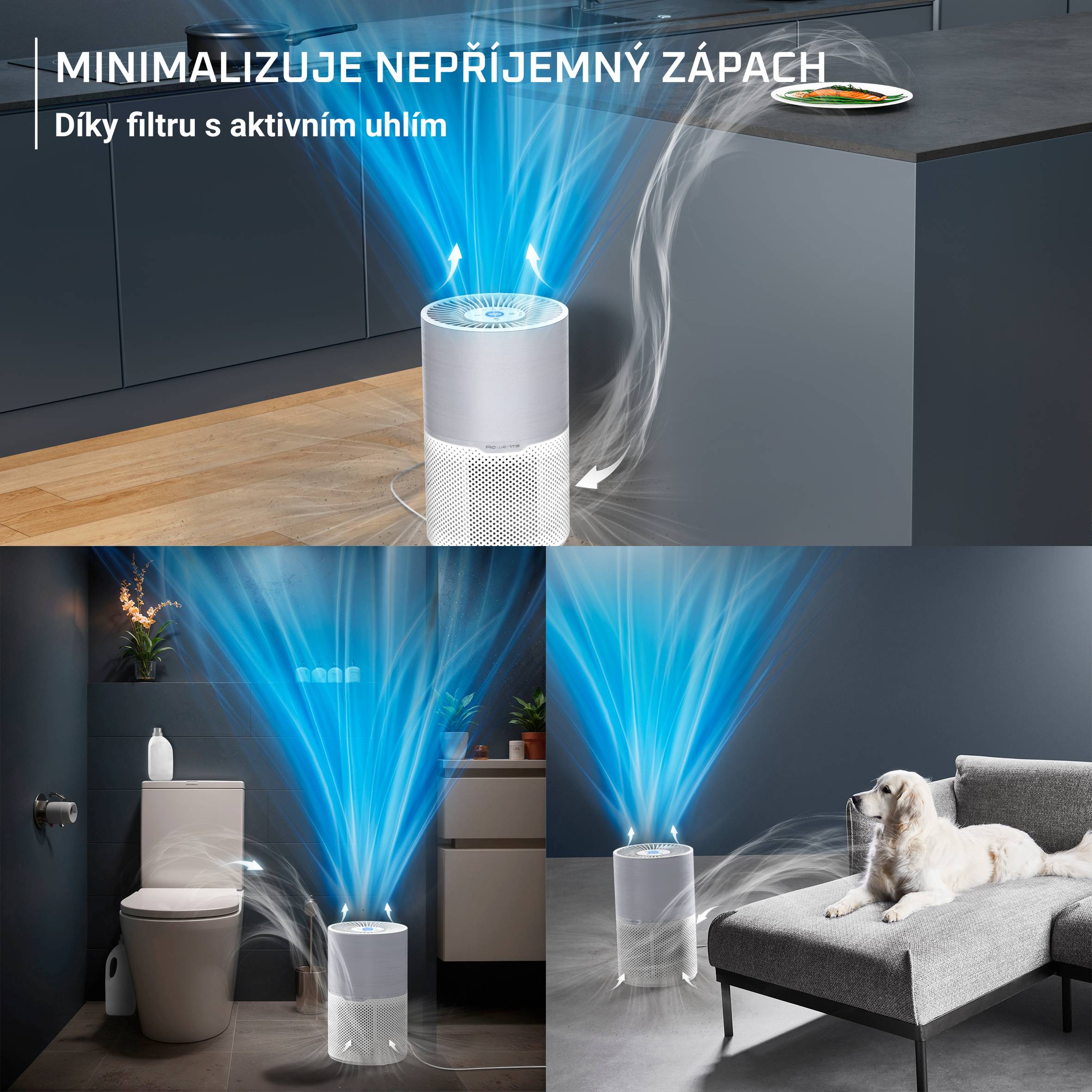 Čistička vzduchu Rowenta Pure Air Compact PU2220F0