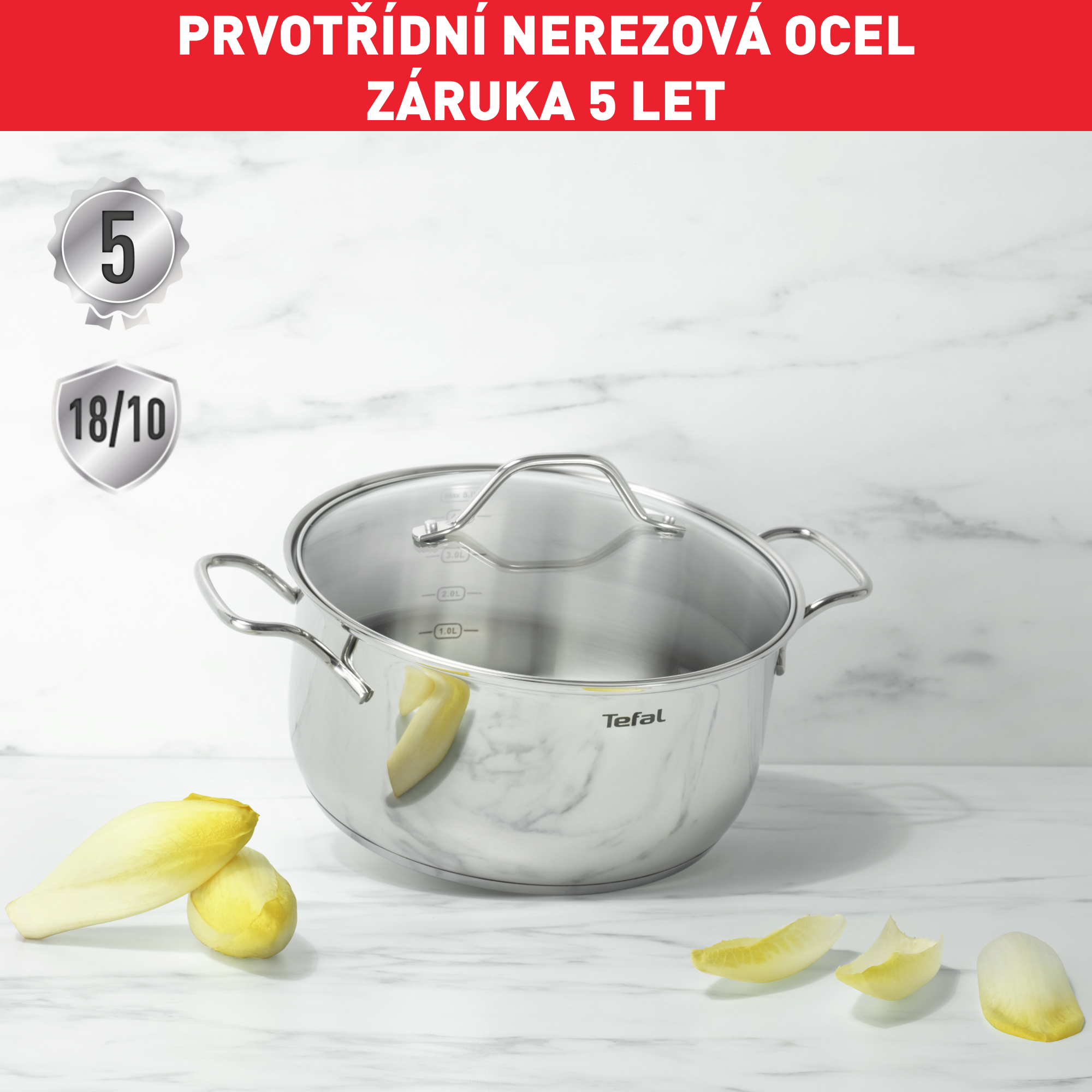 Kastrol s poklicí Tefal Intuition B8644474 20 cm