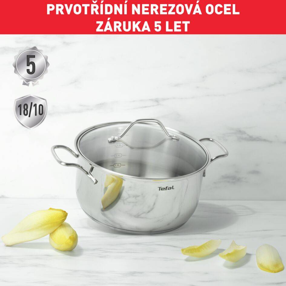 Kastrol s poklicí Tefal Intuition B8644474 20 cm