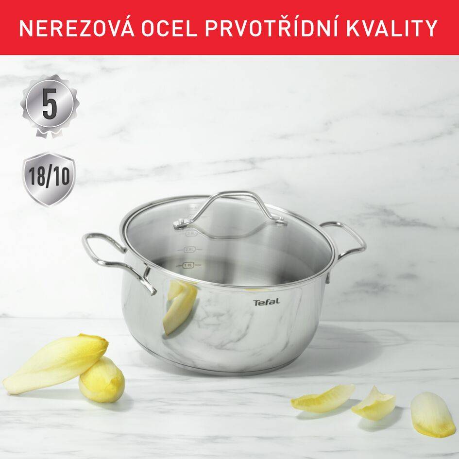 Vysoký hrnec na těstoviny s poklicí Tefal Intuition B8646174 22 cm