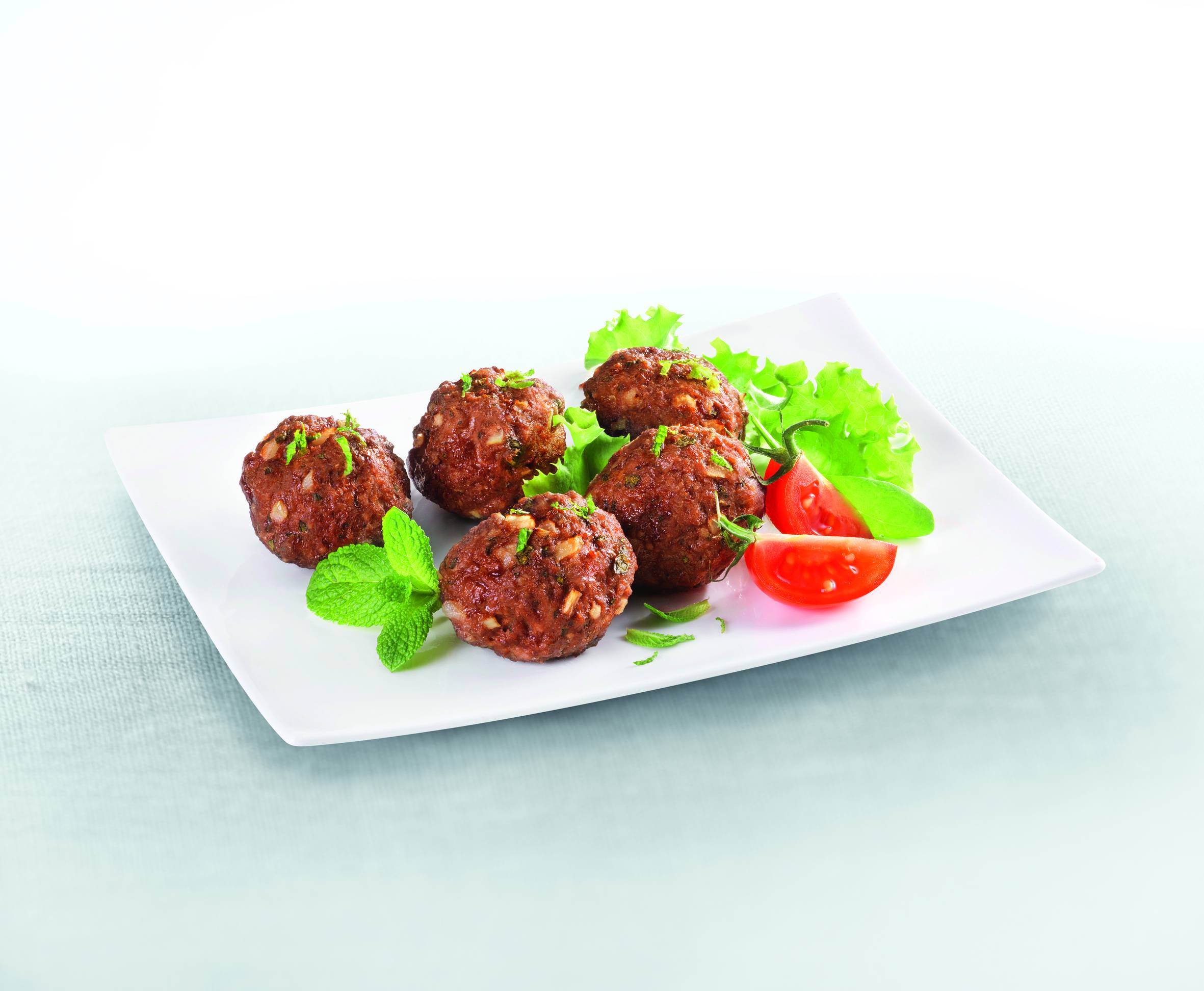 Tefal HV4 9v1 NE448838