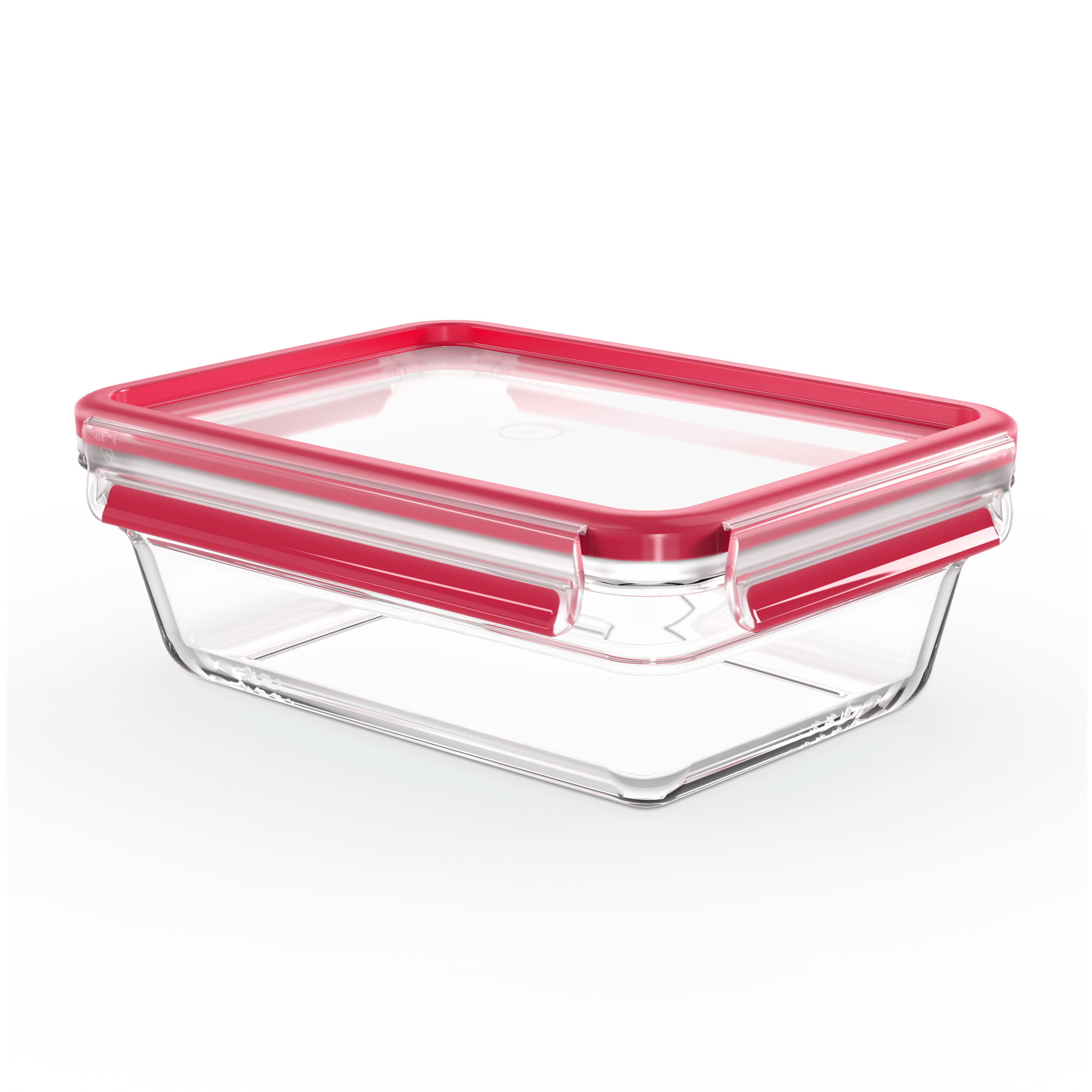 MASTERSEAL GLASS N1041010 1.3 L